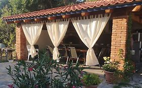 Apartmani Olivera 2